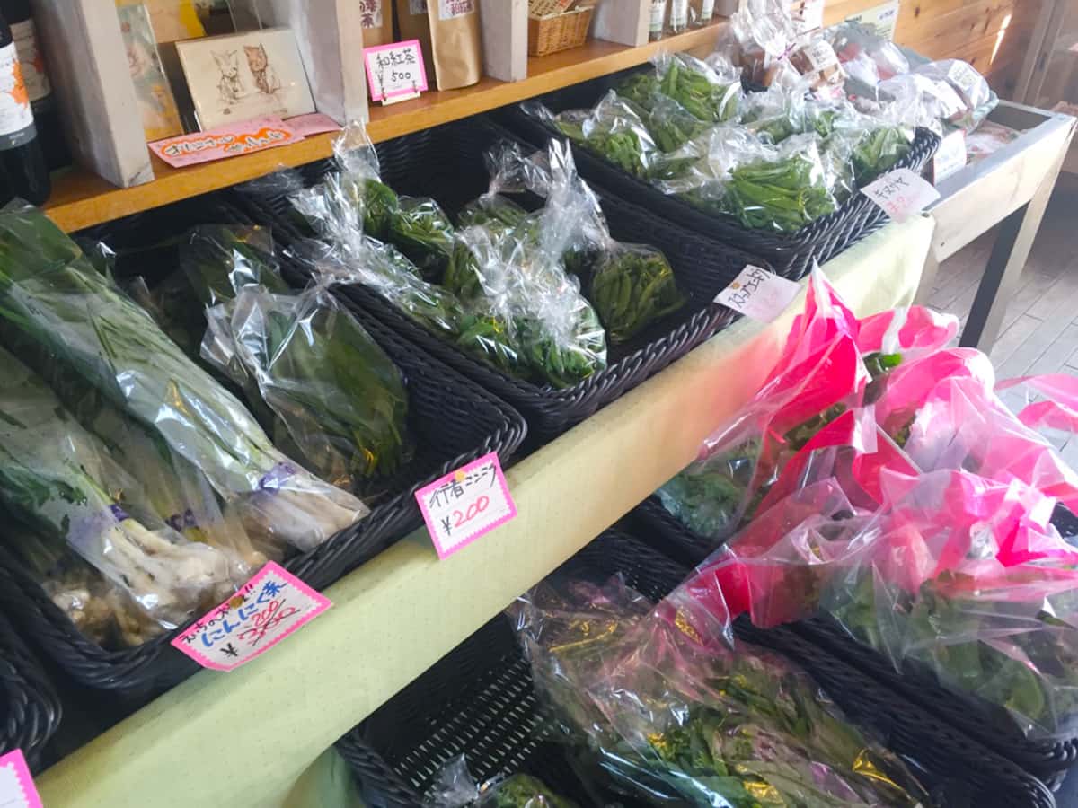 静岡県 富士宮 えいちの村ファーマーズキッチン 野菜