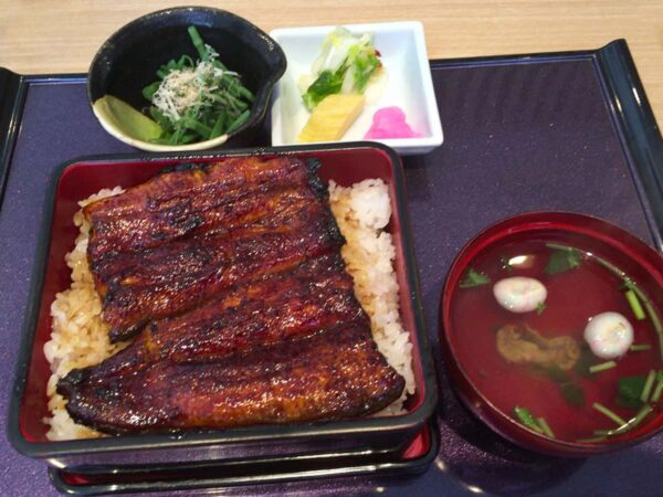 静岡 浜松 志ぶき 上鰻重