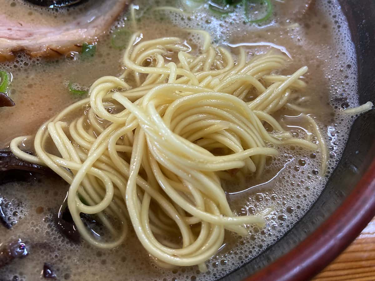 麺|新潟 十日町 天池家