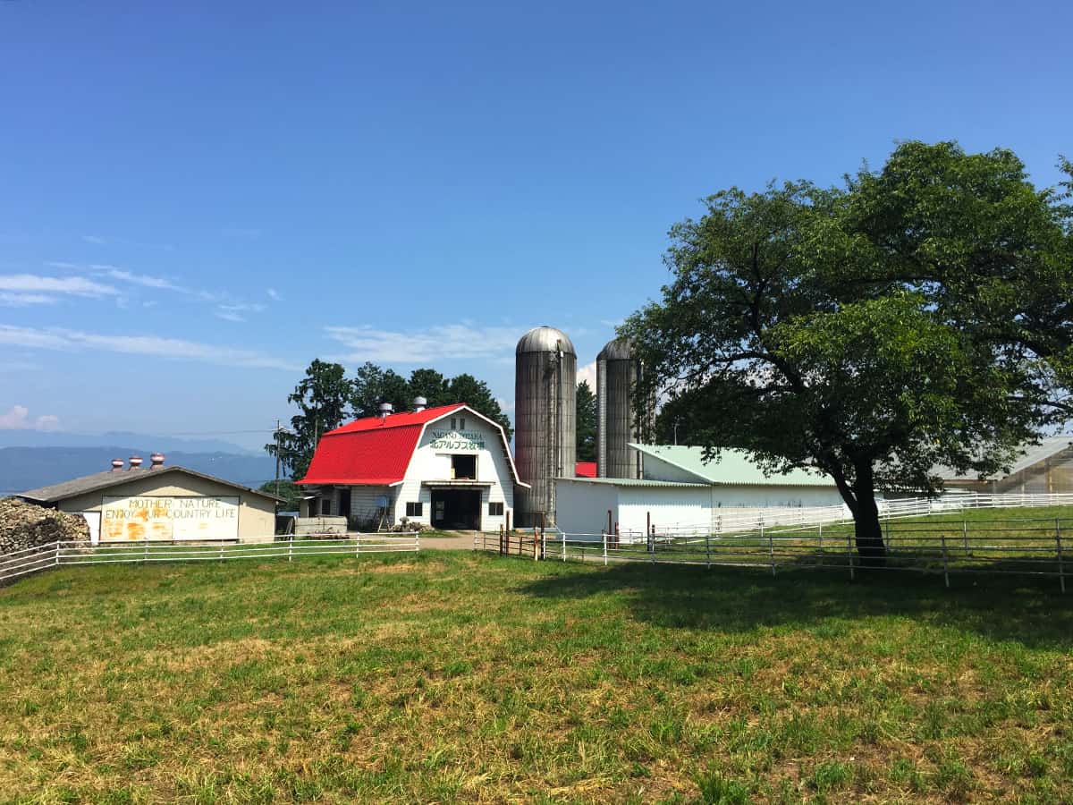 長野 安曇野 北アルプス牧場|牧場風景