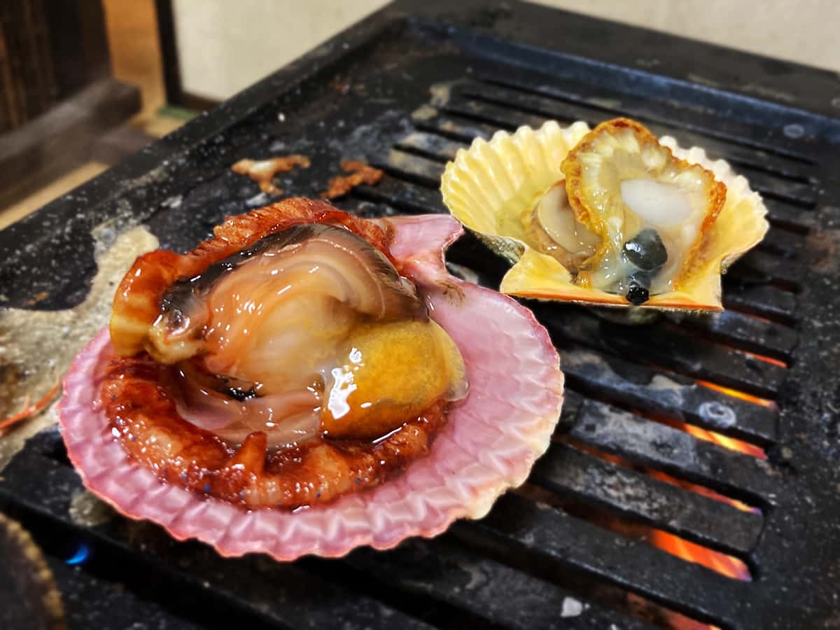 ヒオウギガイ|徳島 徳島 海女料理 ししくい