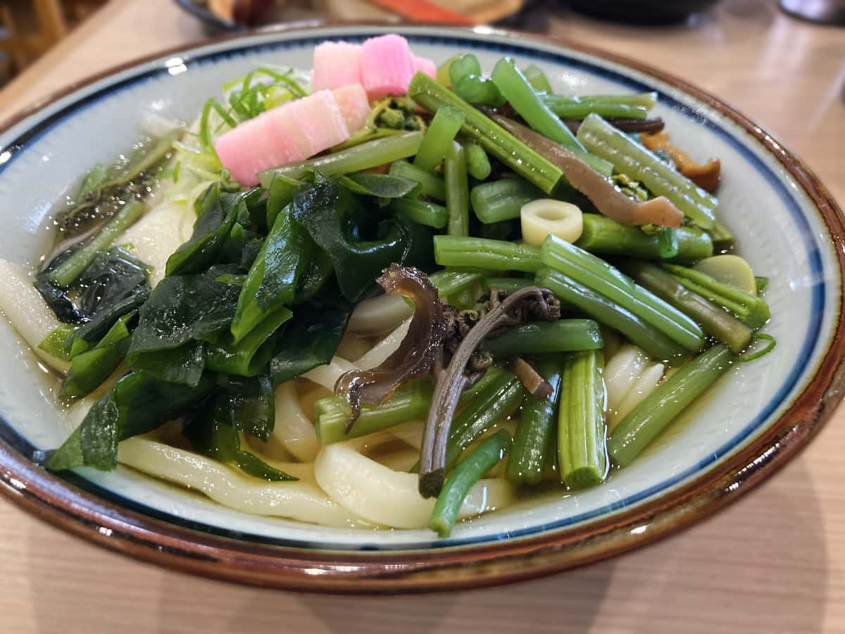 山菜うどん|追憶製麺 玉村うどん