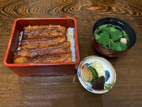 うな重（中）｜うなぎ 浜名
