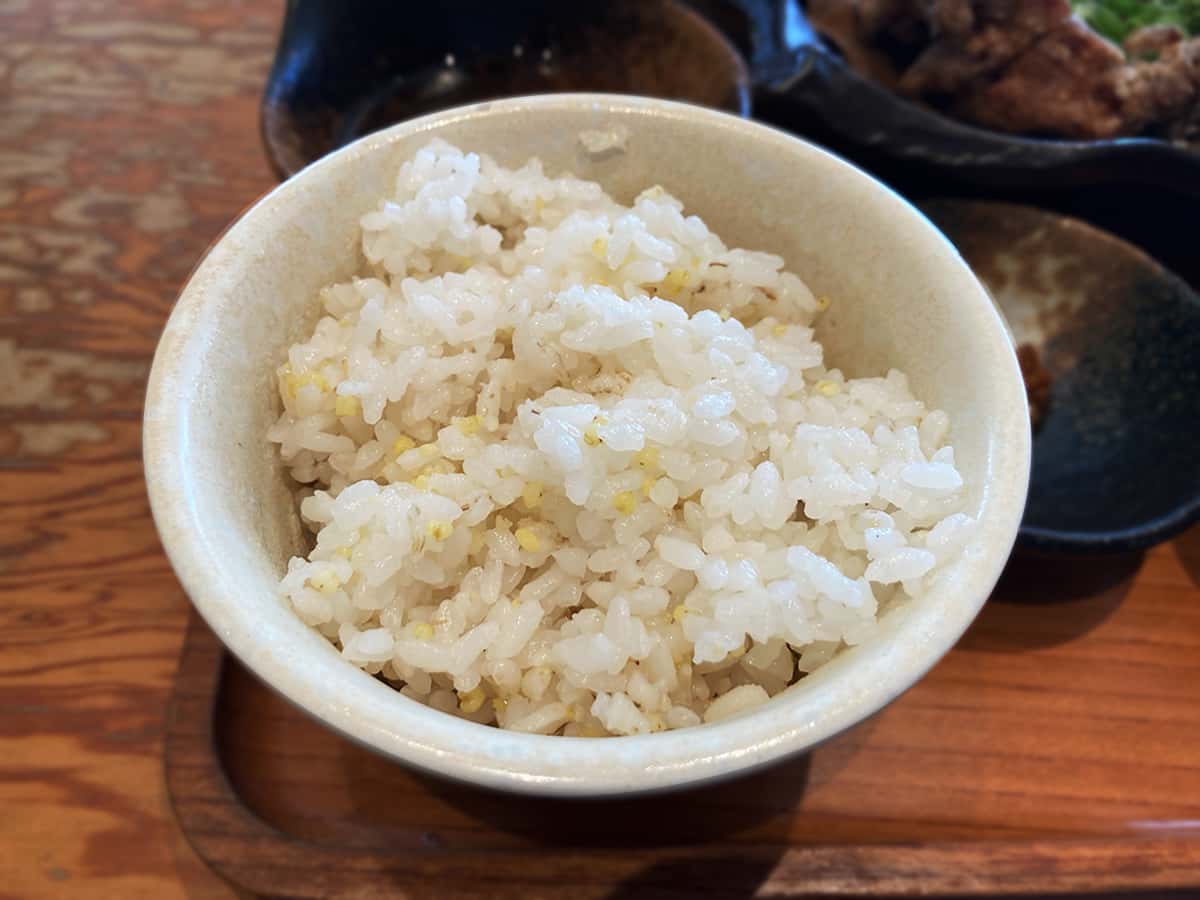 ご飯|長野県 長寿食堂