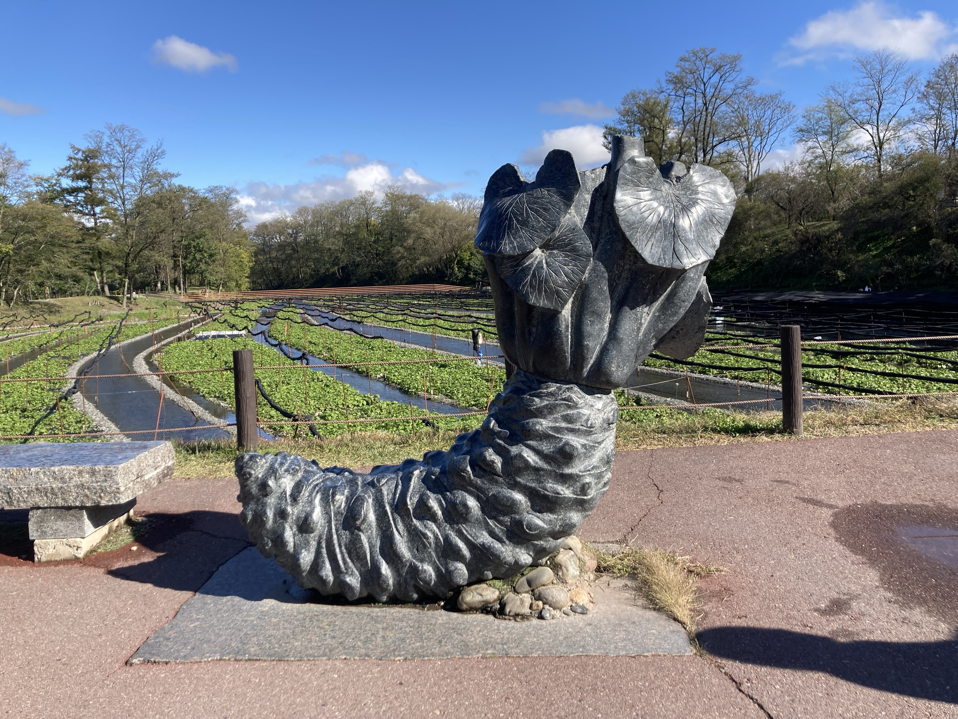 わさびのオブジェ|湧水飯釜大王庵